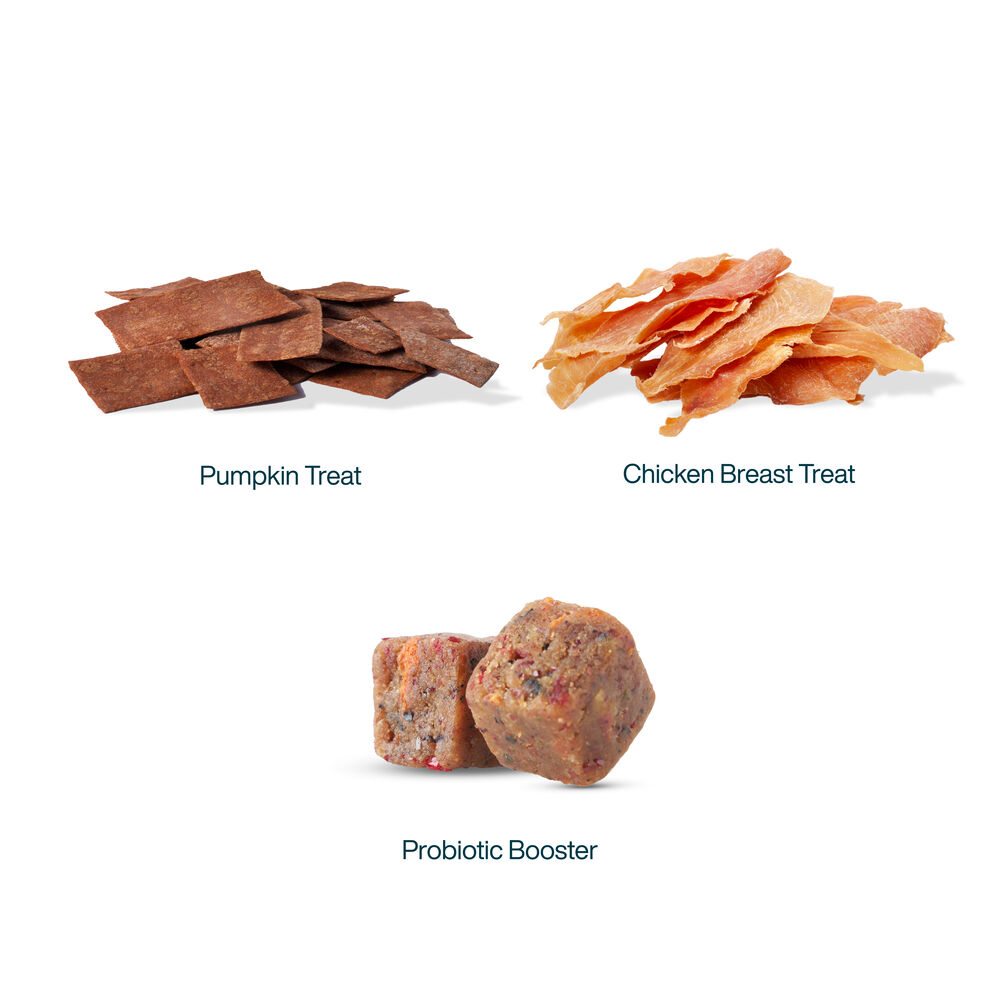 Gut-Friendly Favorites Bundle